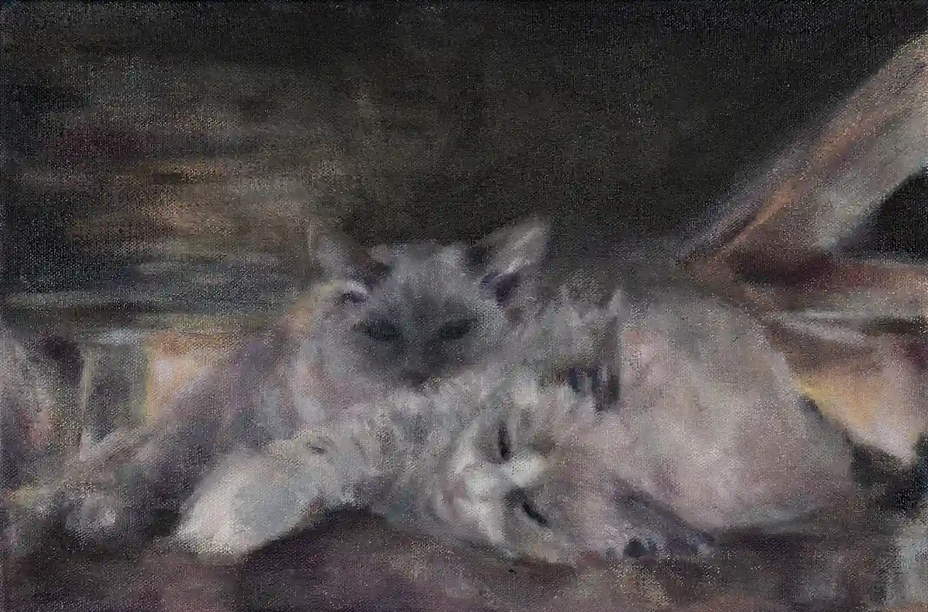 Image 6